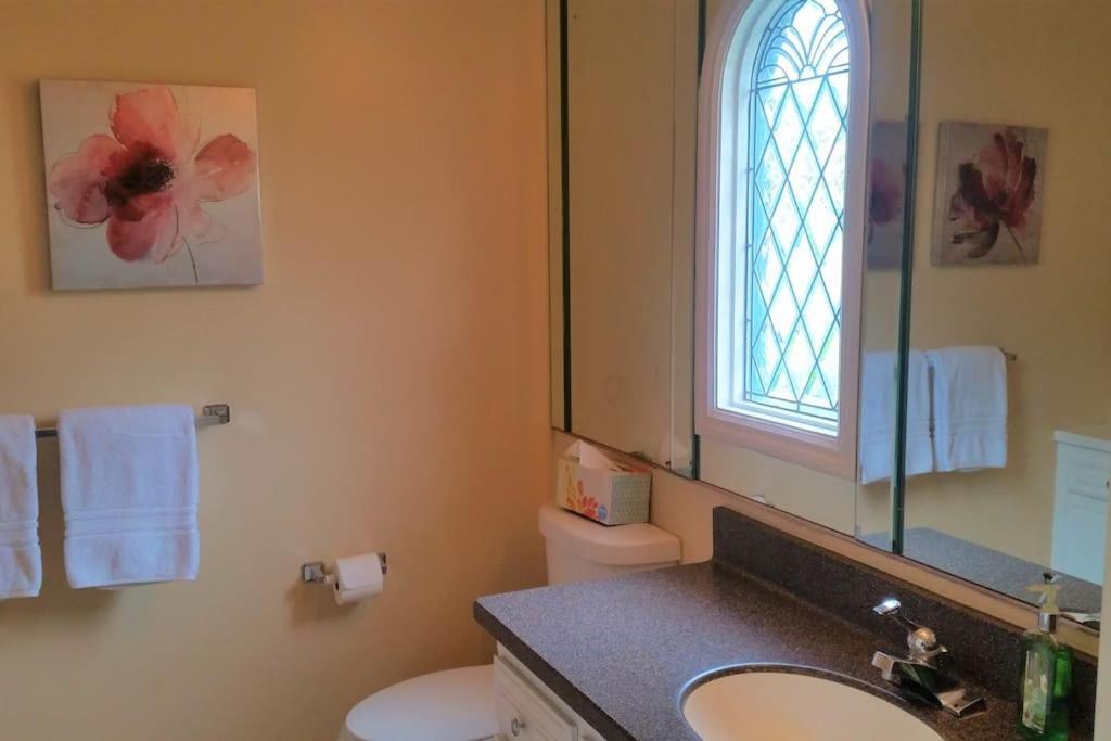 Castlegate Guest Apartment Виста Экстерьер фото